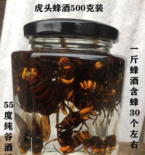 碧蓝航线胡蜂技能介绍（如何利用胡蜂技能在战斗中取得胜利）