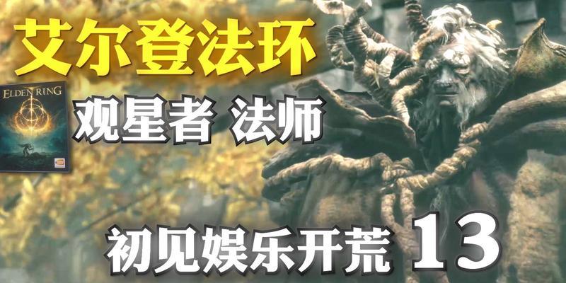 《艾尔登法环观星者》最强加点攻略（掌握加点技巧，成为战士）