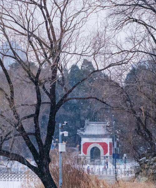 荣耀梅花山雪活动全攻略（玩转荣耀梅花山雪）