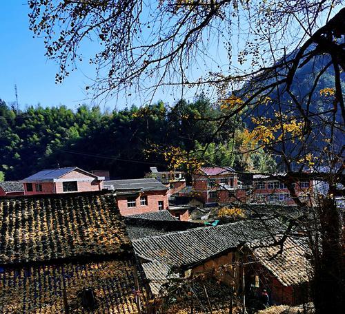 《畅游武义九州城村，尽享古风与游戏乐趣》（九州城村带你体验武侠世界）