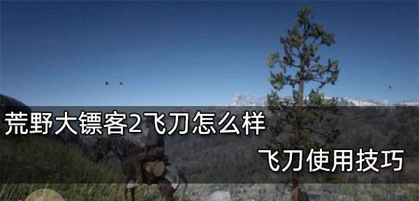 荒野大镖客2武器保养技巧（如何保养你的武器）